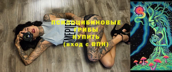 гидра Волоколамск