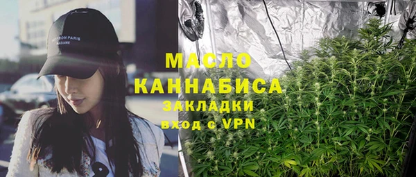 стафф Верхний Тагил