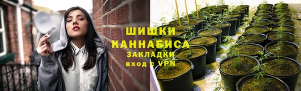 мдпв Волосово
