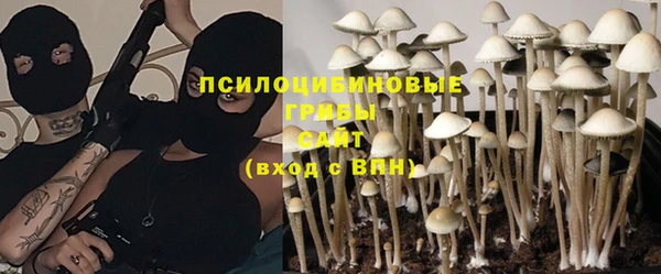 стафф Верхний Тагил