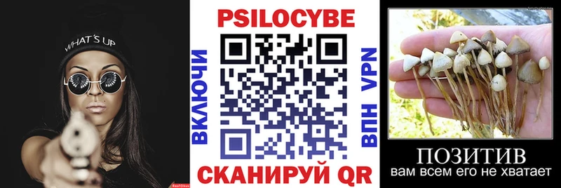 Псилоцибиновые грибы Cubensis  Купить  Миньяр 